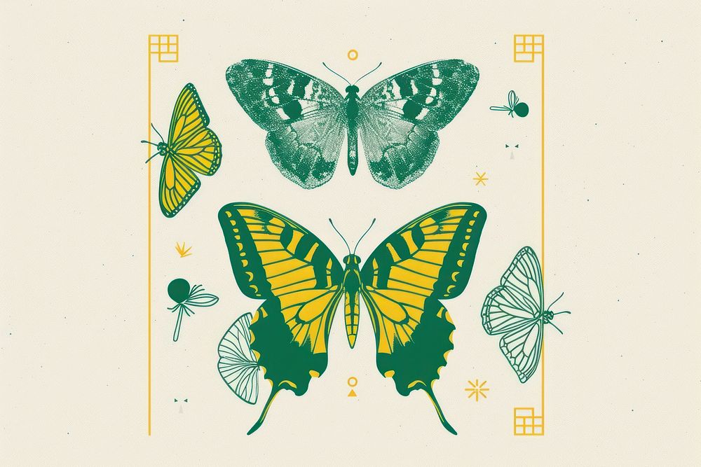CMYK Screen printing of butterfly frame animal insect yellow.
