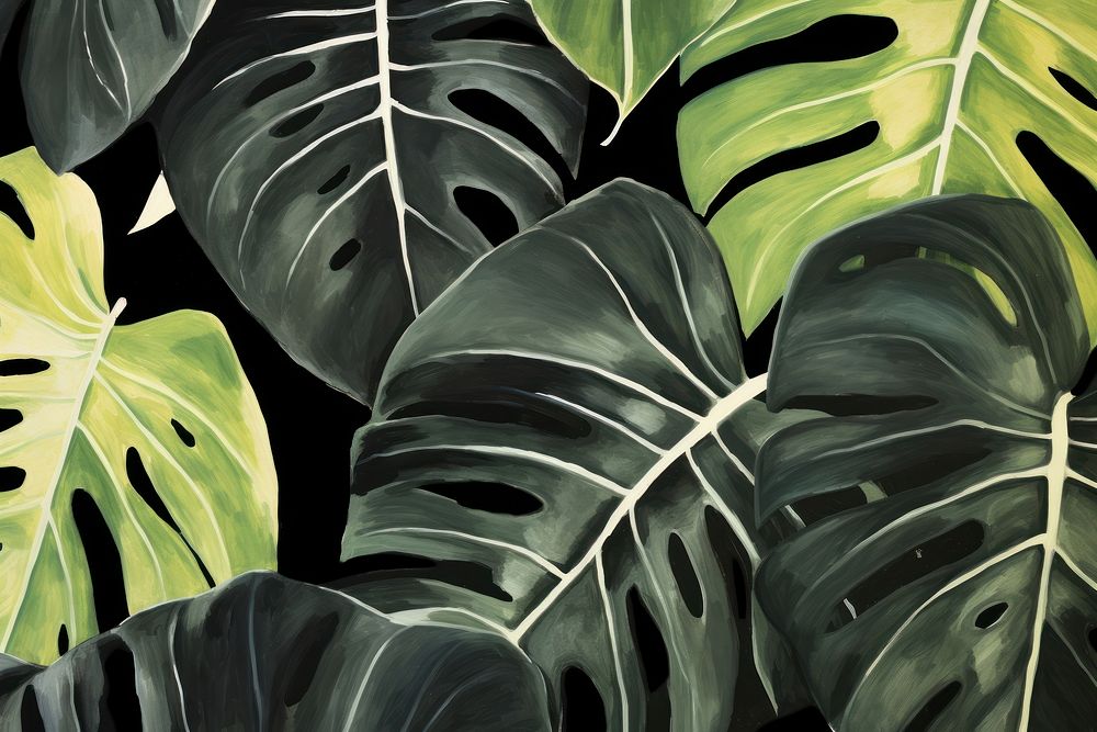 Monstera backgrounds outdoors nature.
