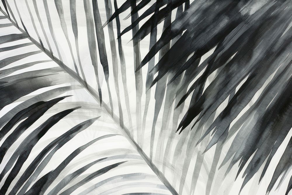 Palm leaves backgrounds abstract nature.