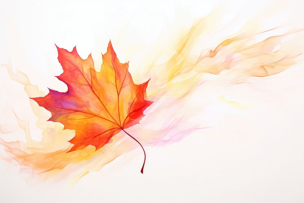 Maple leaf maple backgrounds abstract.