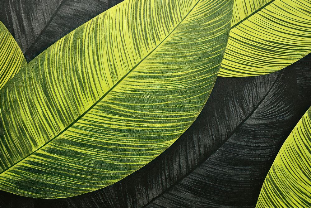 Silkscreen palm leaf pattern backgrounds textured nature.