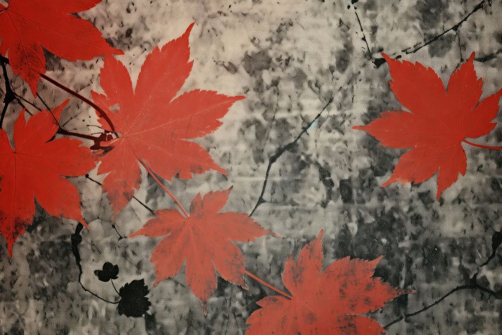 Silkscreen maple leaf pattern backgrounds textured abstract.