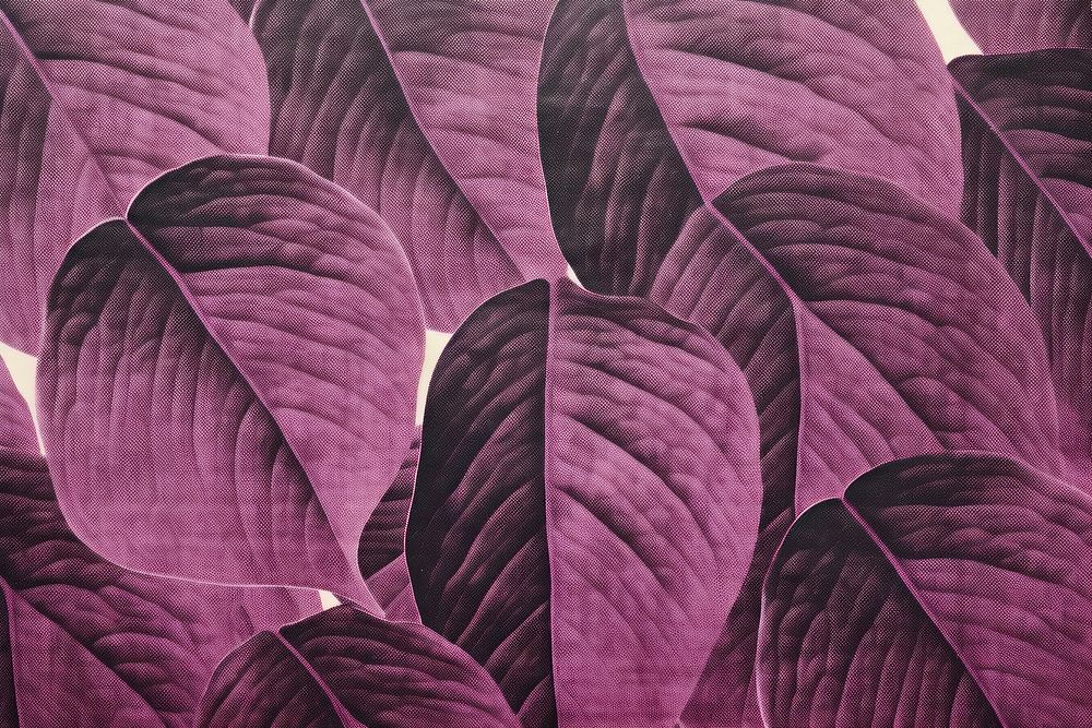Silkscreen purple caladium pattern backgrounds textured plant.