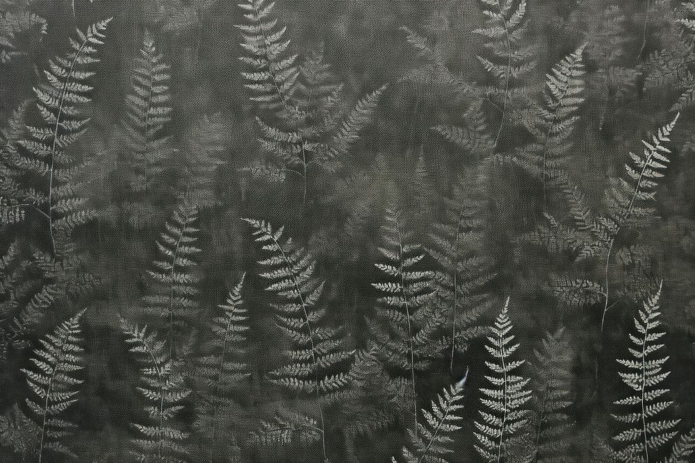 Silkscreen fern pattern backgrounds textured nature.