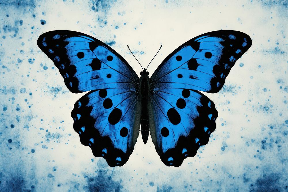 Silkscreen blue butterfly pattern animal insect invertebrate.