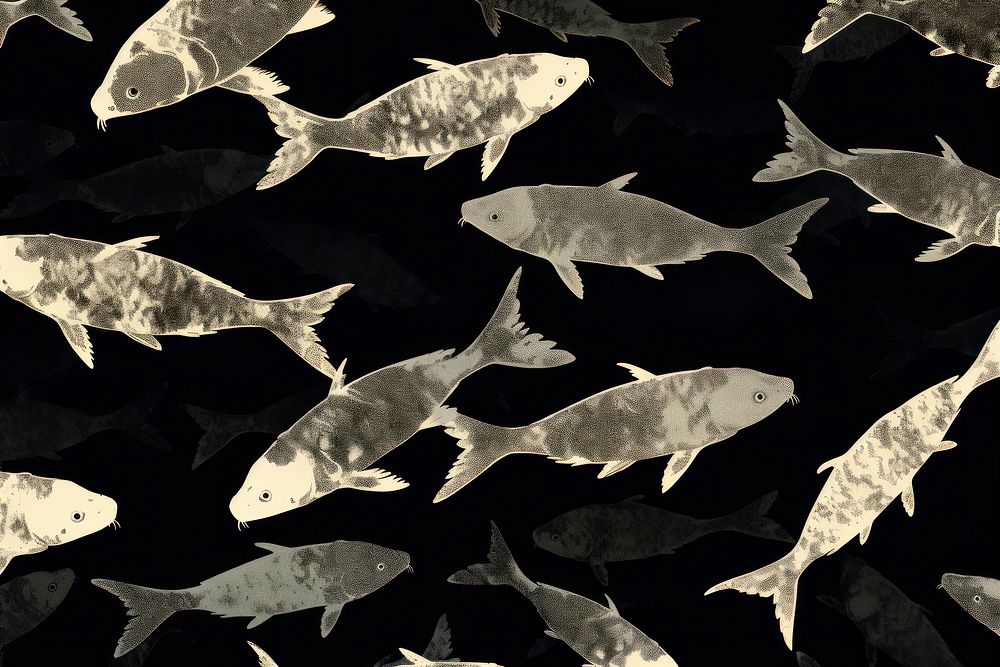 Silkscreen koi fish pattern backgrounds animal black.