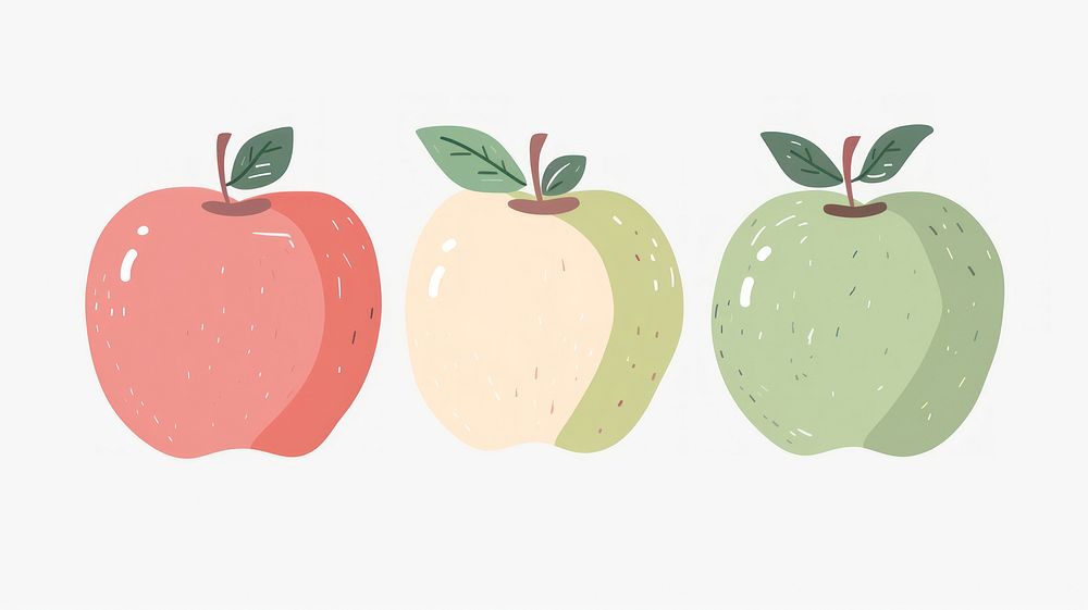 Apple divider illustration fruit plant food.
