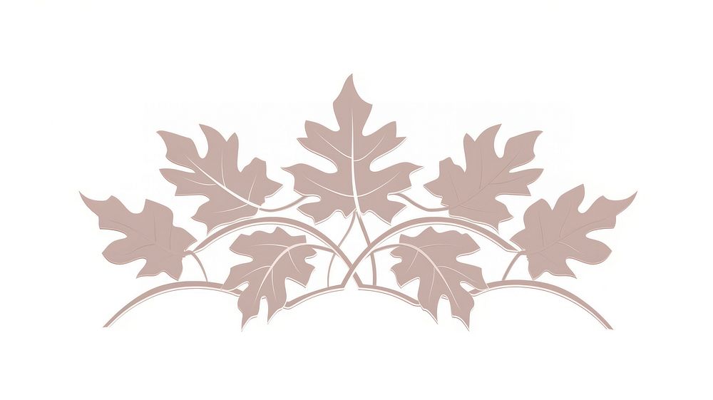 Maple leaves divider ornament plant leaf tree.
