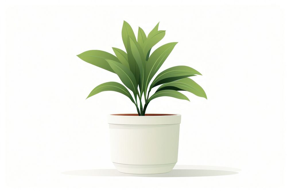 Potted plant vase leaf white background.