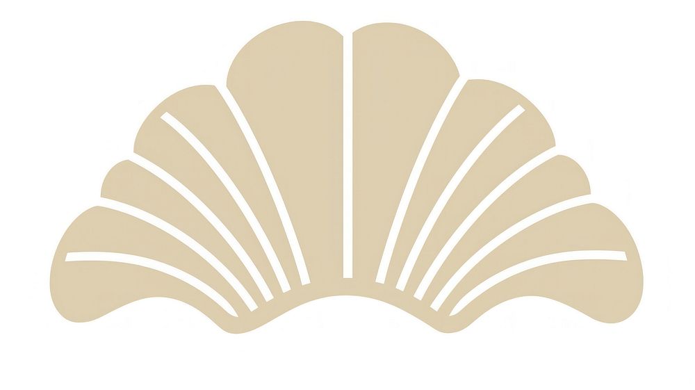 Shell divider ornament white background invertebrate seashell.