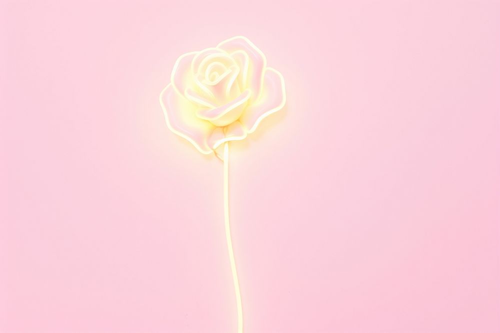 Pastel neon rose flower plant light.