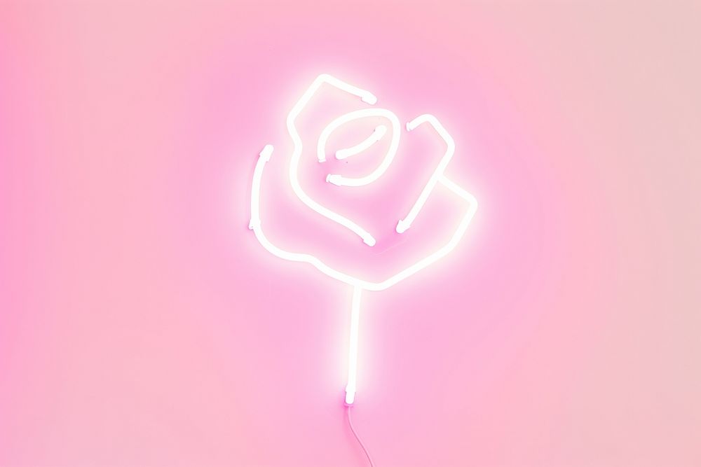 Pastel neon rose light illuminated creativity.
