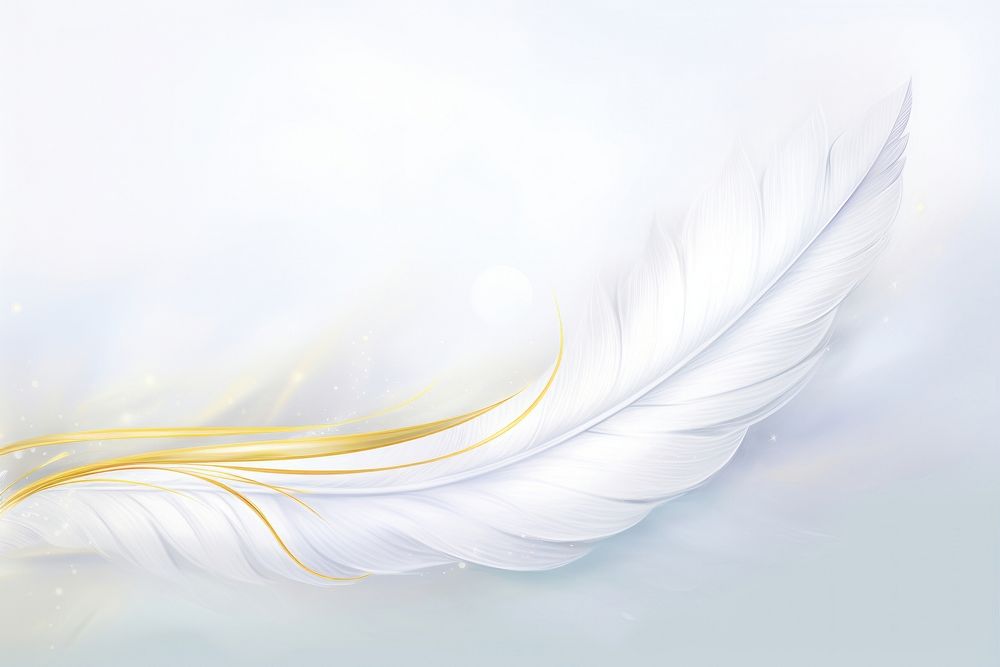 Painting of gold feather border backgrounds angel lightweight.
