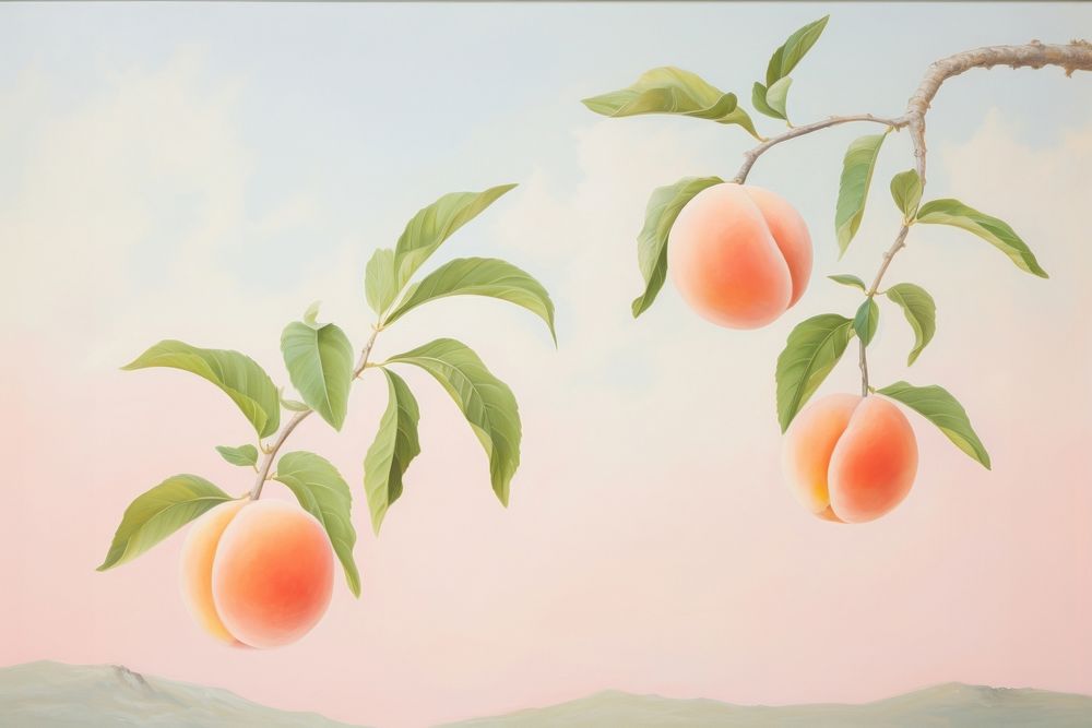 Painting of peach border plant freshness outdoors.