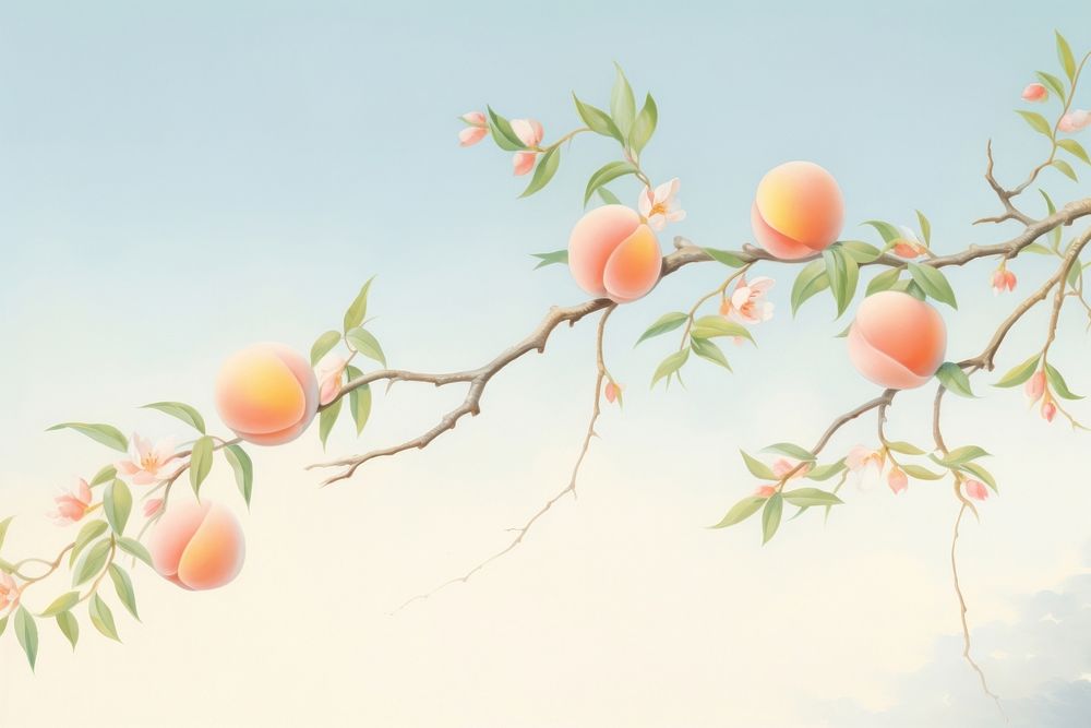 Painting of peach border plant persimmon freshness.