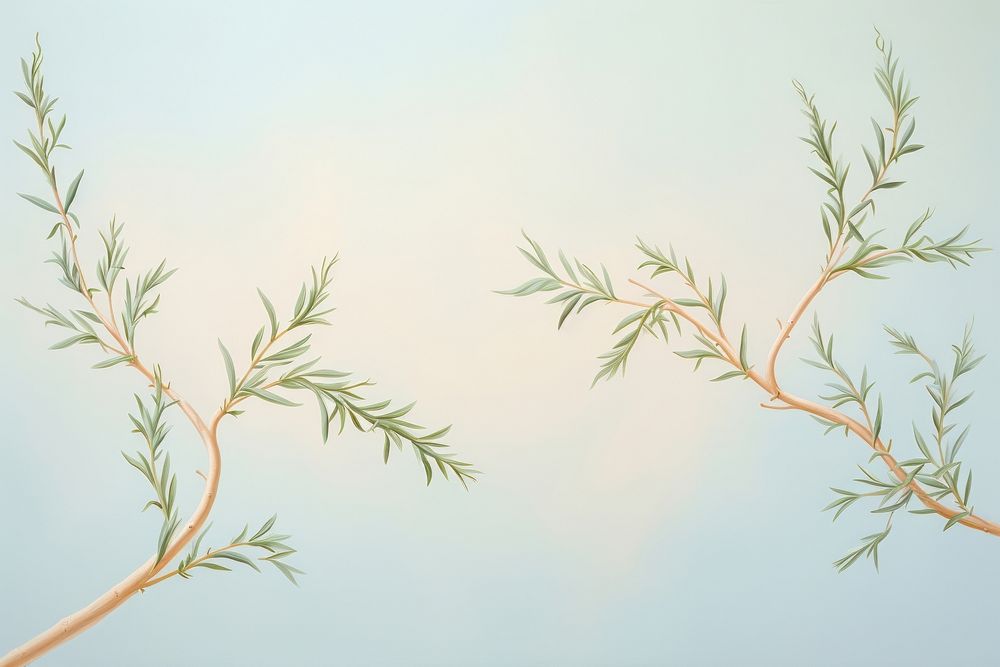 Painting of rosemary branches border nature plant herbs.