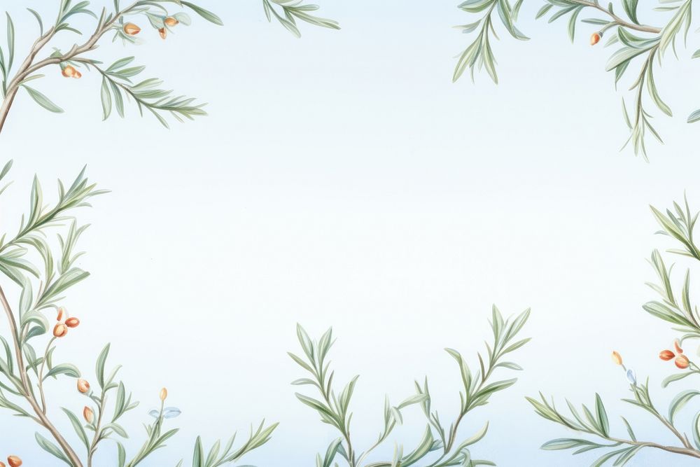 Painting of rosemary branches border backgrounds pattern plant.