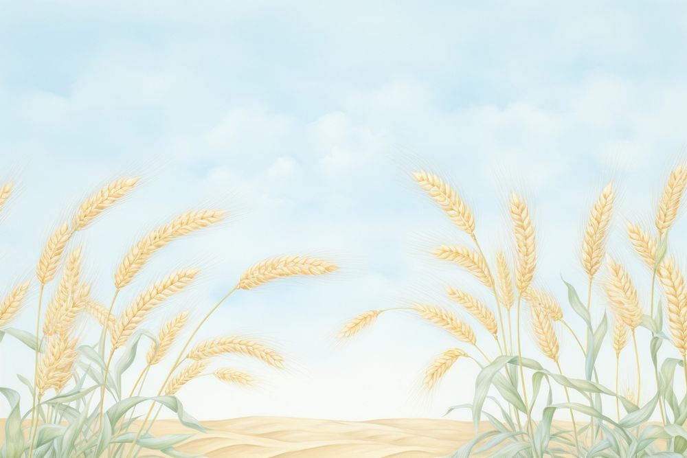 Painting of wheat file border backgrounds landscape outdoors.