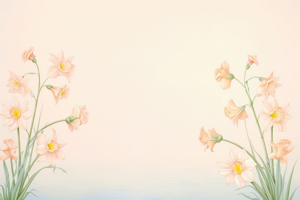 Painting of vintage daffodil blooms border backgrounds flower plant.