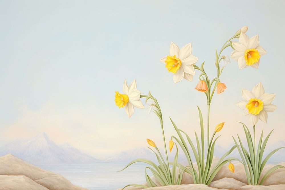Painting of vintage daffodil flowers border plant inflorescence tranquility.