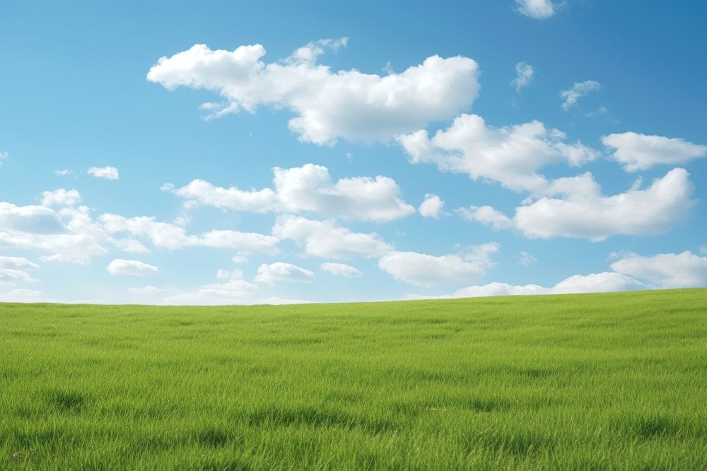Grass field and sky outdoors horizon nature.