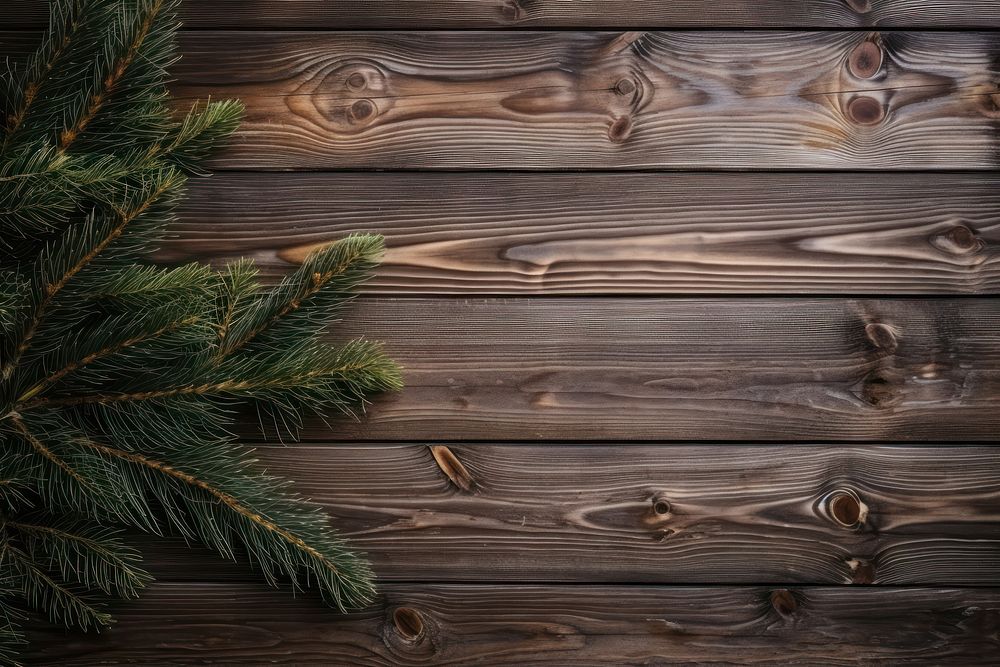 Pine tree wood backgrounds christmas. | Premium Photo - rawpixel