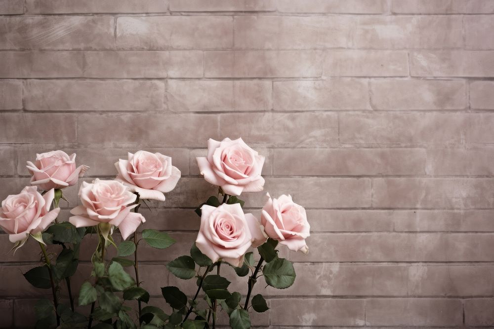 Roses on Brick rose wall architecture.