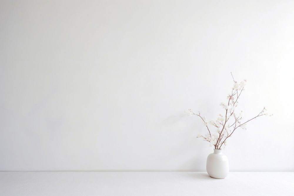 White wall flower plant.