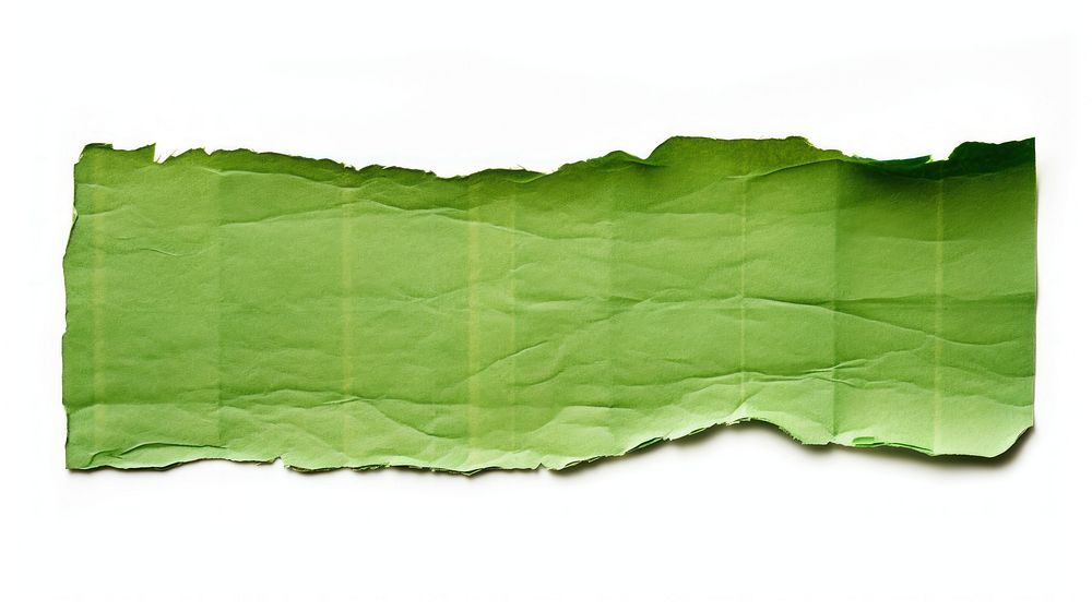 Ripped paper adhesive strip green backgrounds leaf.