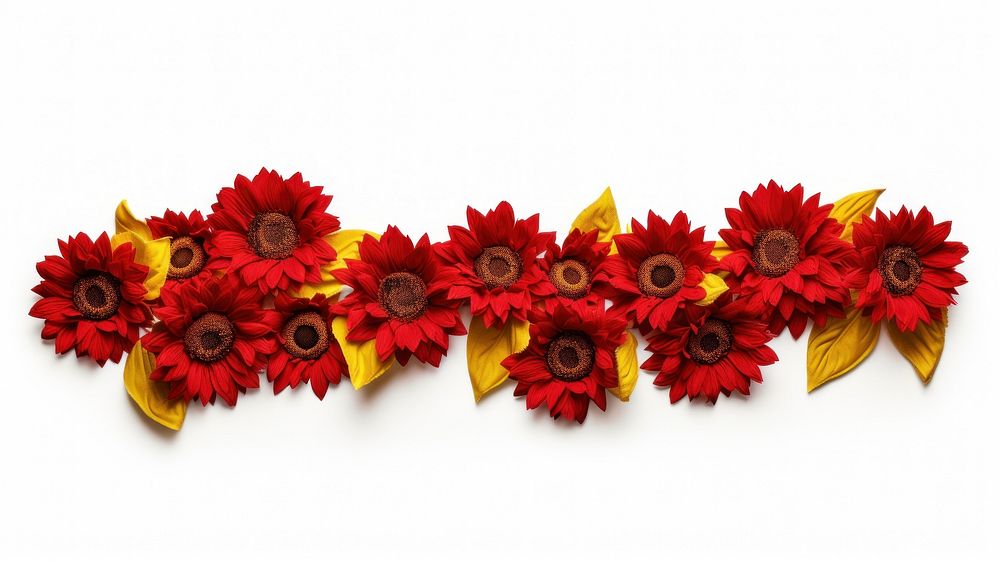 Sunflowers pattern adhesive strip petal plant red.