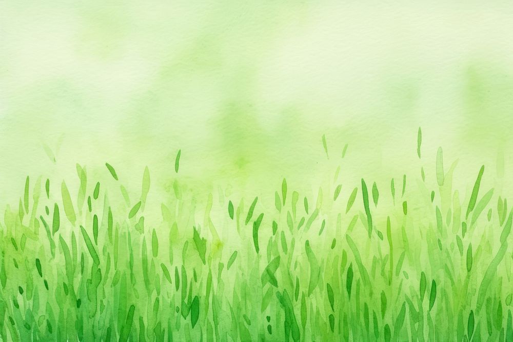 Grass backgrounds outdoors plant.