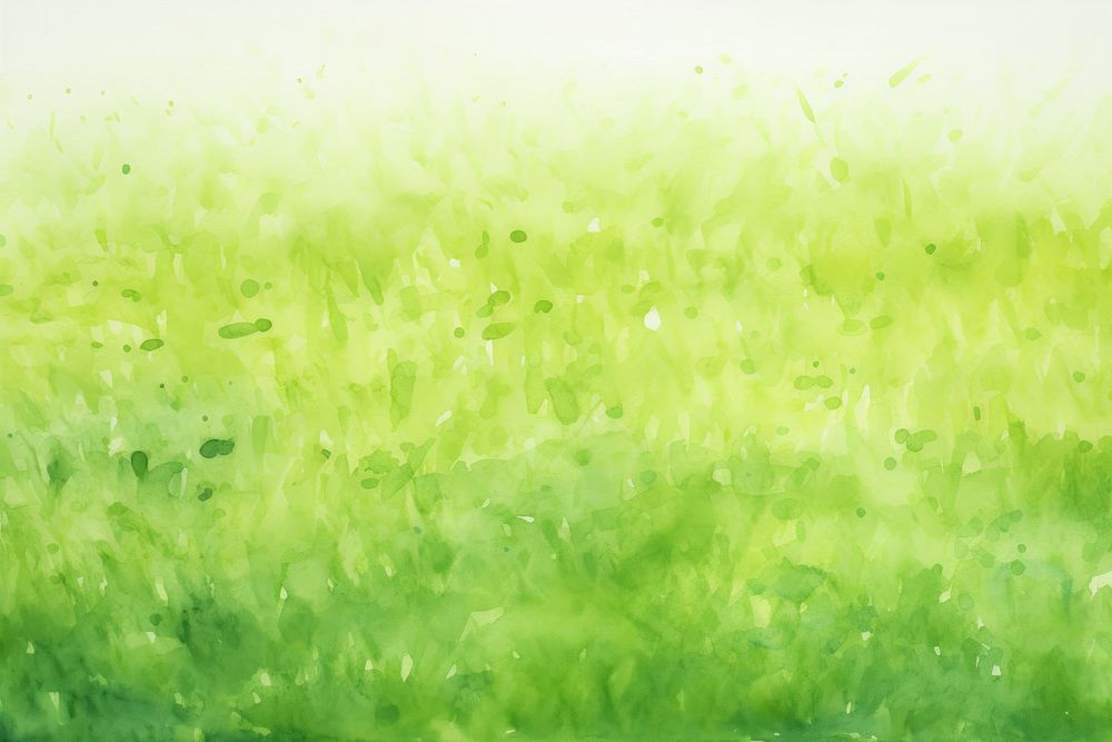 Grass backgrounds texture plant.