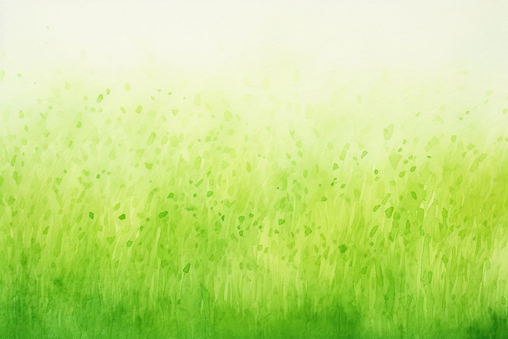 Grass backgrounds texture plant.