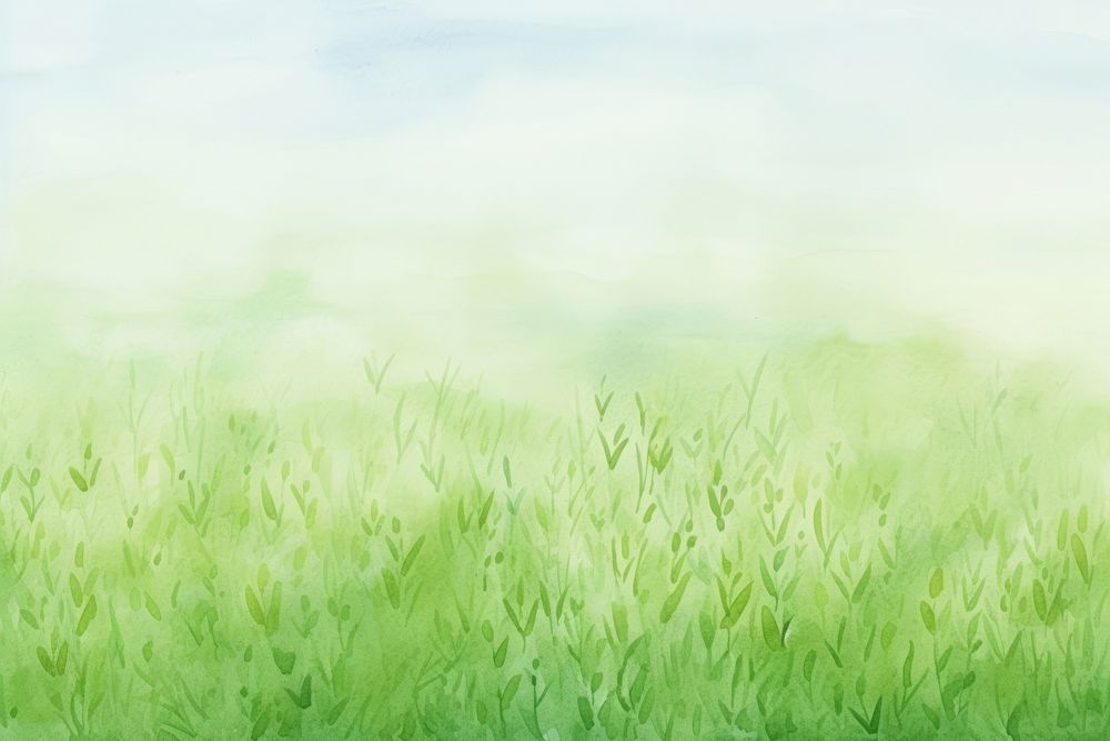 Grass field backgrounds outdoors texture.