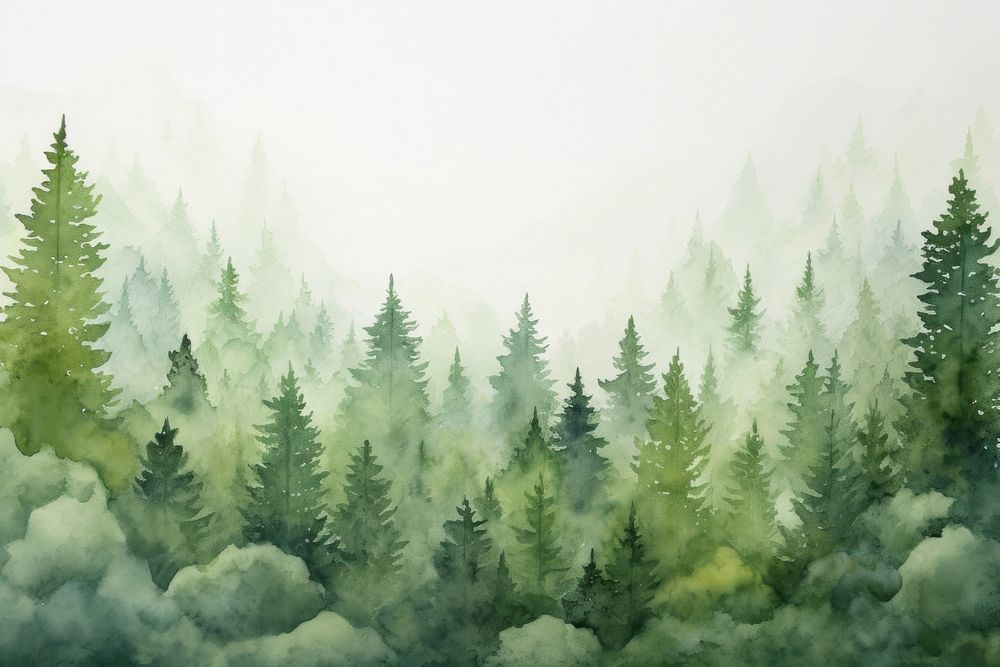 Forest backgrounds landscape outdoors.