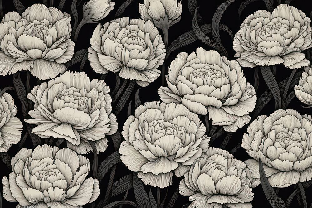 Carnation field backgrounds monochrome pattern.