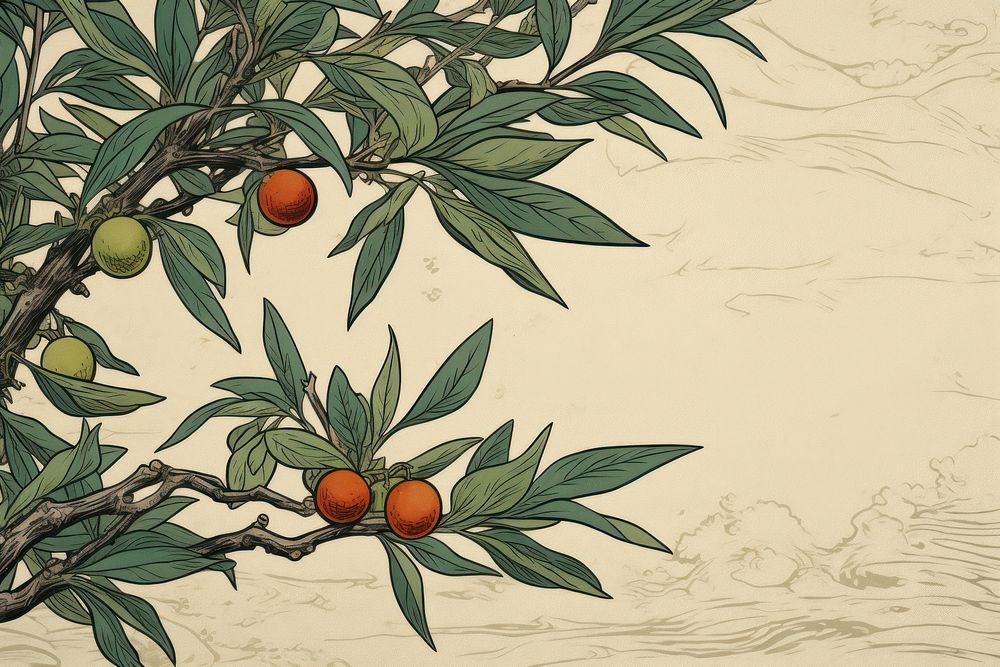 Olive leaves art backgrounds painting.