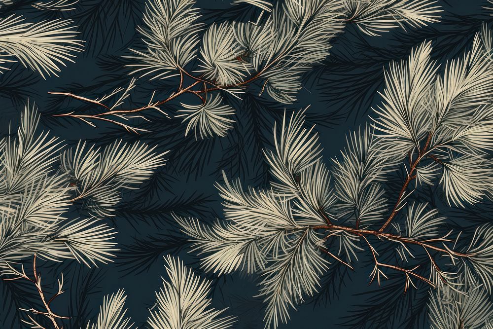 Pine needles backgrounds pattern nature.