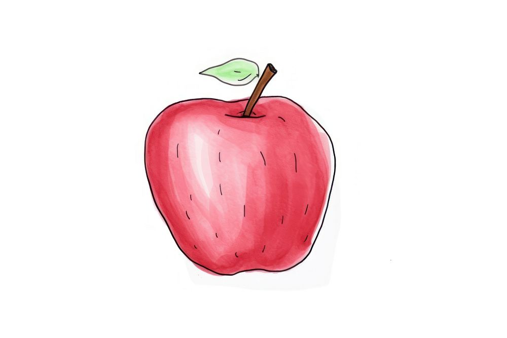 Apple drawing fruit plant.