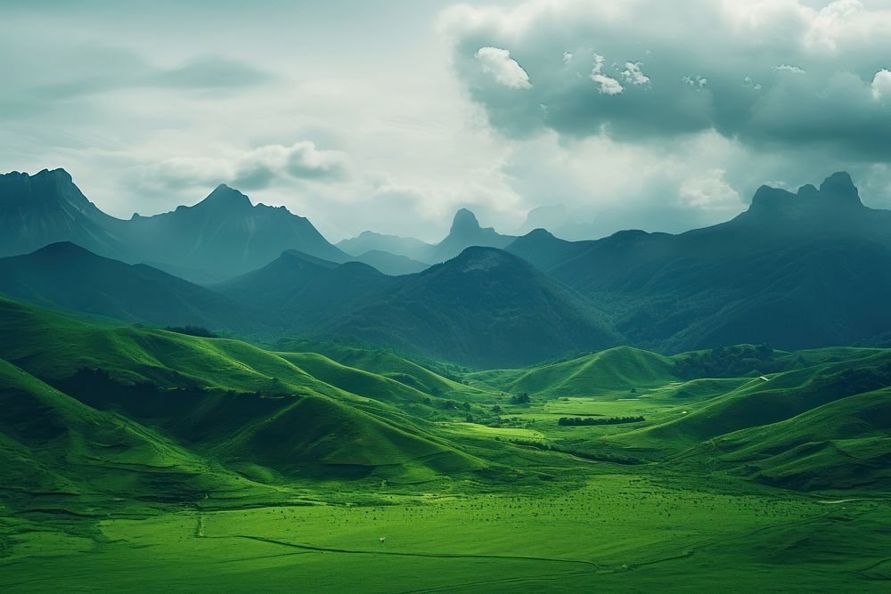 Landscape green grassland panoramic.