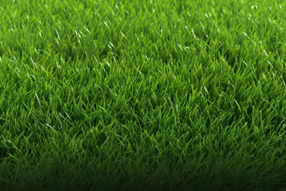 Lawn grass plant backgrounds.