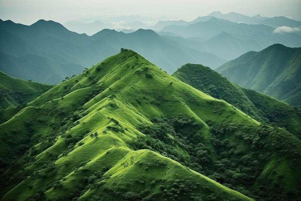 Mountain green vegetation landscape.