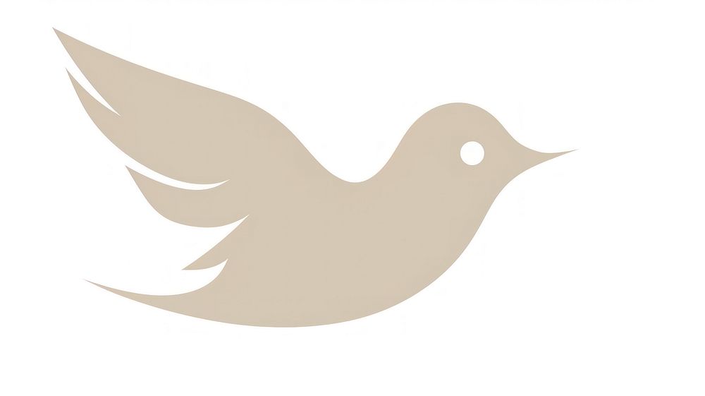 Bird divider ornament animal symbol white.