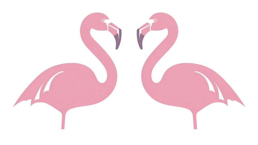 Flamingo divider ornament animal bird white background.