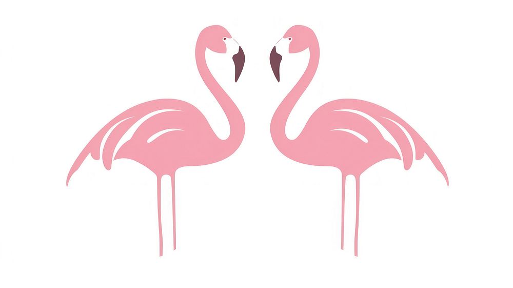 Flamingo divider ornament animal bird white background.