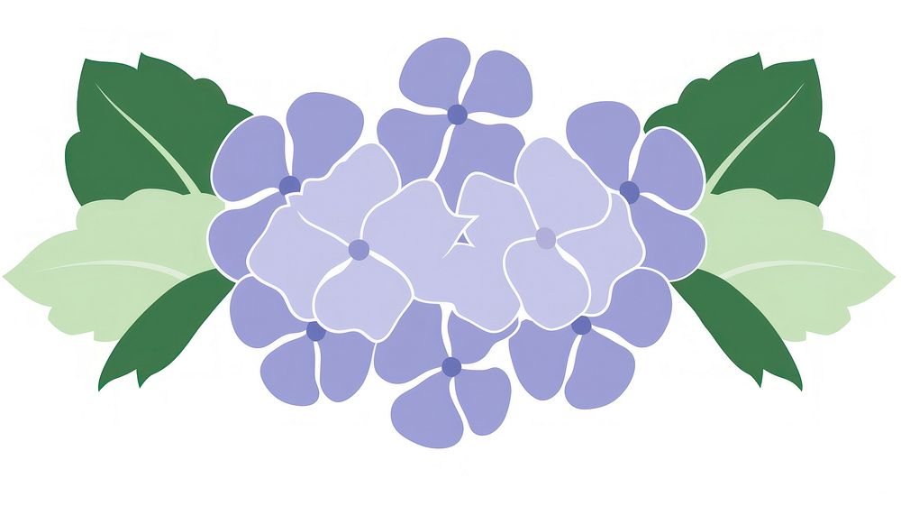 Hydrangea divider ornament flower plant leaf.