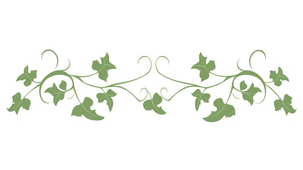 Ivy divider ornament pattern white background creativity.