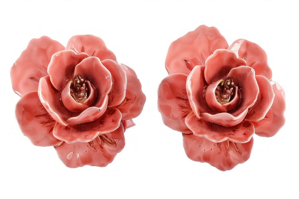 Flower earrings jewelry plant rose.