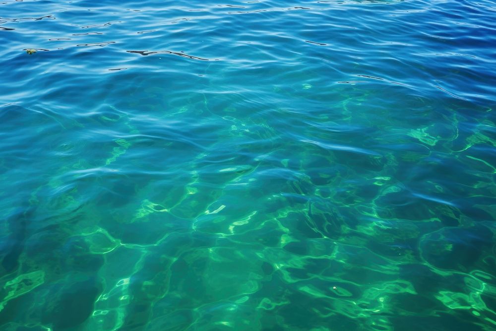 Blue green surface of the ocean in Catalina Island California backgrounds outdoors swimming.