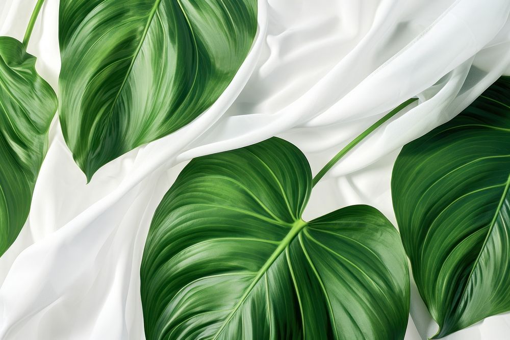Tropical leaves fabric backgrounds plant green.